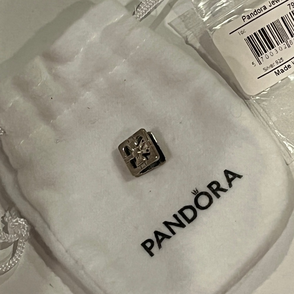 Brand New Pandora Reflections Clip Charm